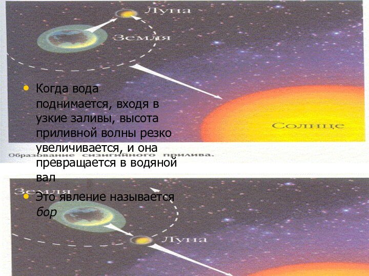 Когда вода поднимается, входя в узкие заливы, высота приливной волны резко увеличивается,