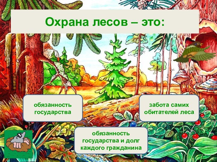 Вариант 1 (уровень 1) обязанность государства и долг каждого гражданинаобязанность государствазабота самих