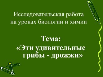 Эти удивительные грибы – дрожжи. 9–11-й класс