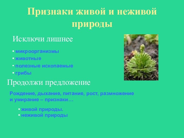 Признаки живой и неживой природыПродолжи предложение микроорганизмы животные полезные ископаемыеРождение, дыхание, питание,