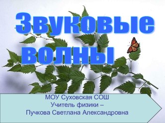 Звуковые волны (8-9 класс)