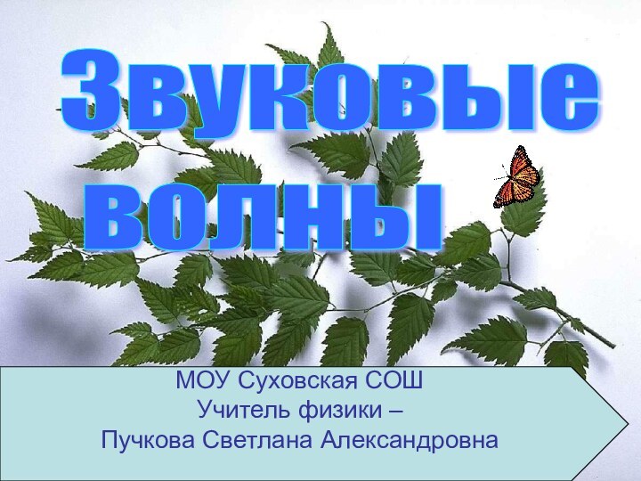 Звуковые   волныМОУ Суховская СОШУчитель физики – Пучкова Светлана Александровна