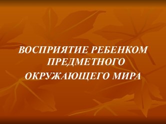 Восприятие ребенком предметного окружающего мира