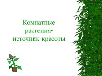 Комнатные растения - это источник красоты