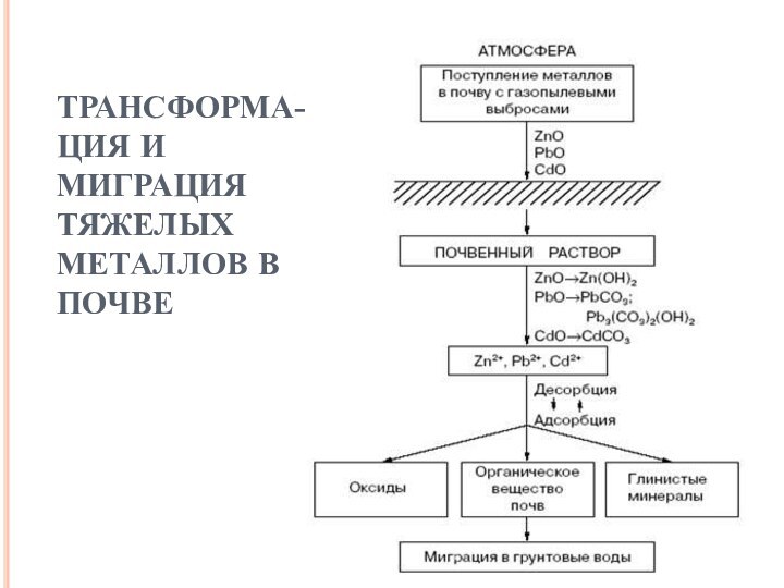 ТРАНСФОРМА-ЦИЯ И МИГРАЦИЯ ТЯЖЕЛЫХ МЕТАЛЛОВ В ПОЧВЕ