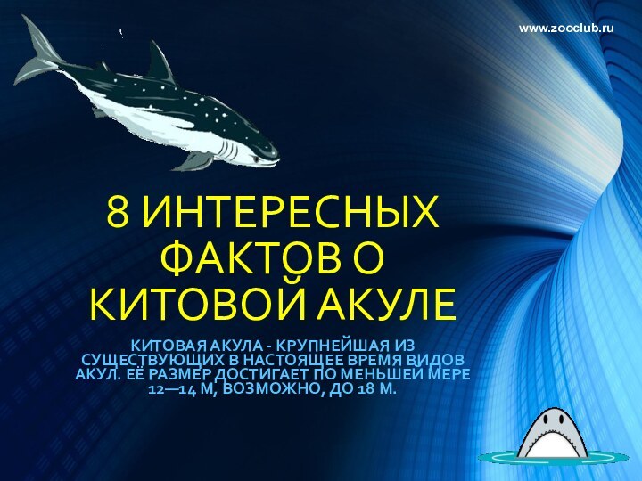 8 ИНТЕРЕСНЫХ ФАКТОВ О КИТОВОЙ АКУЛЕКИТОВАЯ АКУЛА - КРУПНЕЙШАЯ ИЗ СУЩЕСТВУЮЩИХ В