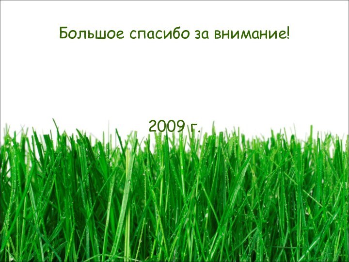 Большое спасибо за внимание!2009 г.