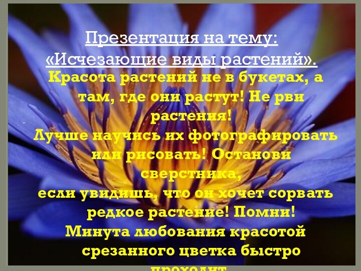 Презентация на тему: «Исчезающие виды растений».Красота растений не в букетах, а там,