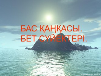 БАС ҚАҢҚАСЫ. БЕТ СҮЙЕКТЕРІ