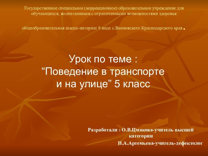 Государственное специальное (коррекционное) образовательное учреждение для обучающихся, воспитанников с ограниченными возможностями здоровья