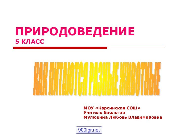 ПРИРОДОВЕДЕНИЕ 5 КЛАССМОУ «Карсинская СОШ»Учитель биологииМулюкина Любовь ВладимировнаКАК ПИТАЮТСЯ РАЗНЫЕ ЖИВОТНЫЕ