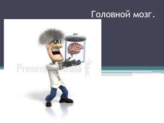 Головной мозг