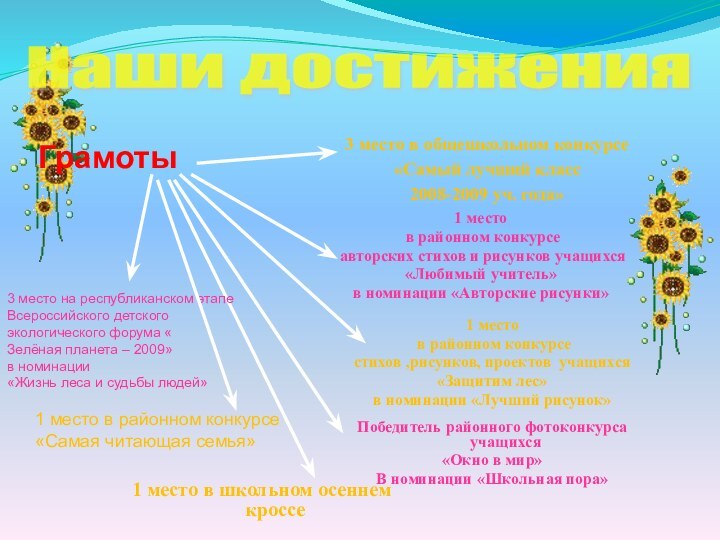 3 место в общешкольном конкурсе «Самый лучший класс 2008-2009 уч. года»Наши достижения