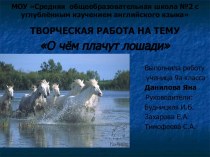 О чём плачут лошади