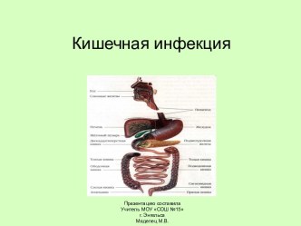 Кишечная инфекция