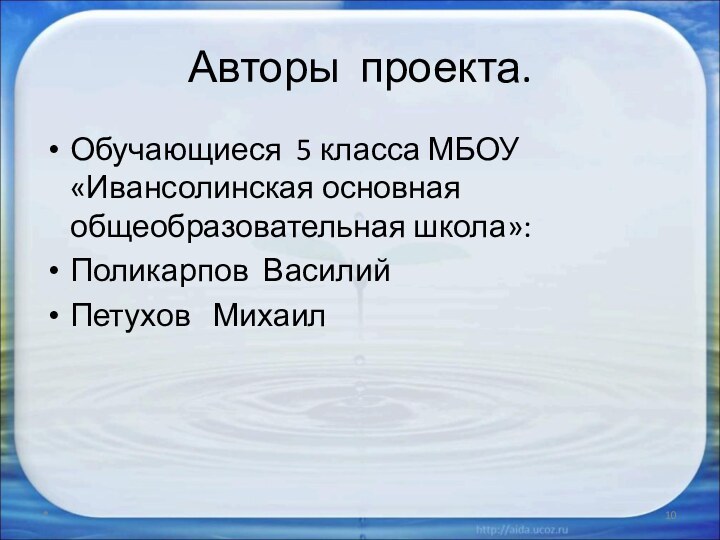 Авторы проекта.Обучающиеся 5 класса МБОУ «Ивансолинская основная общеобразовательная школа»:Поликарпов ВасилийПетухов  Михаил*