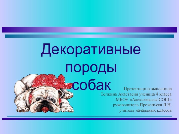 Презентацию выполнилаБелкина Анастасия ученица 4 классаМБОУ «Алексеевская СОШ»руководитель Прокопьева Л.Н.учитель начальных классов Декоративные породысобак