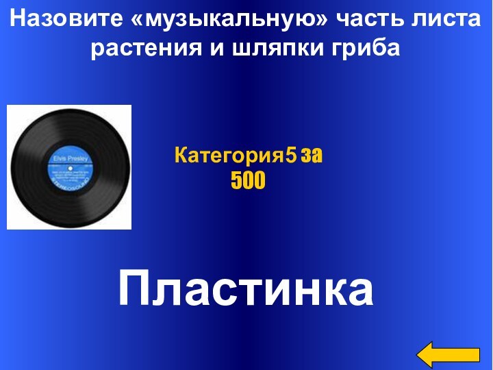 Назовите «музыкальную» часть листа растения и шляпки грибаПластинкаКатегория5 за 500