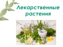 Лекарственные растения