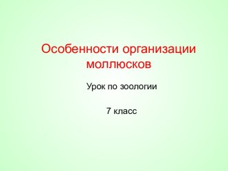 Особенности организации моллюсков