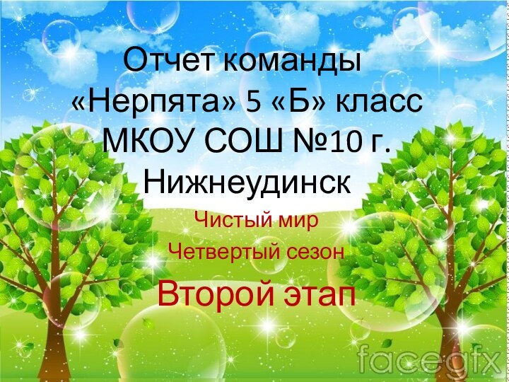 Отчет команды  «Нерпята» 5 «Б» класс  МКОУ СОШ №10 г.