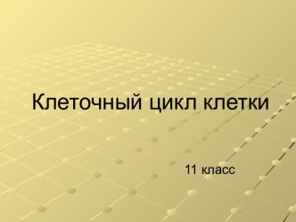 Клеточный цикл клетки