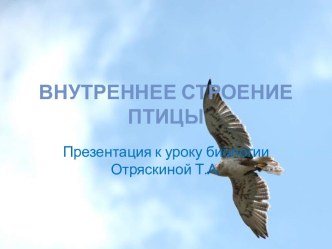 Внутреннее строение птиц