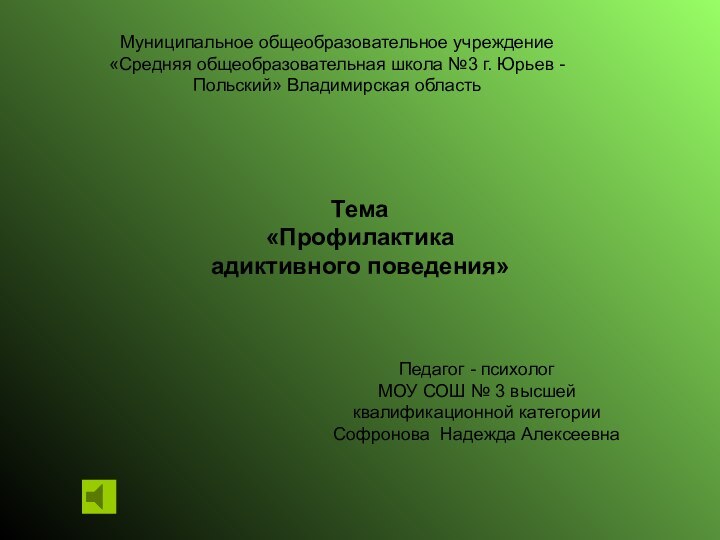 Муниципальное общеобразовательное учреждение «Средняя общеобразовательная школа №3 г. Юрьев - Польский» Владимирская