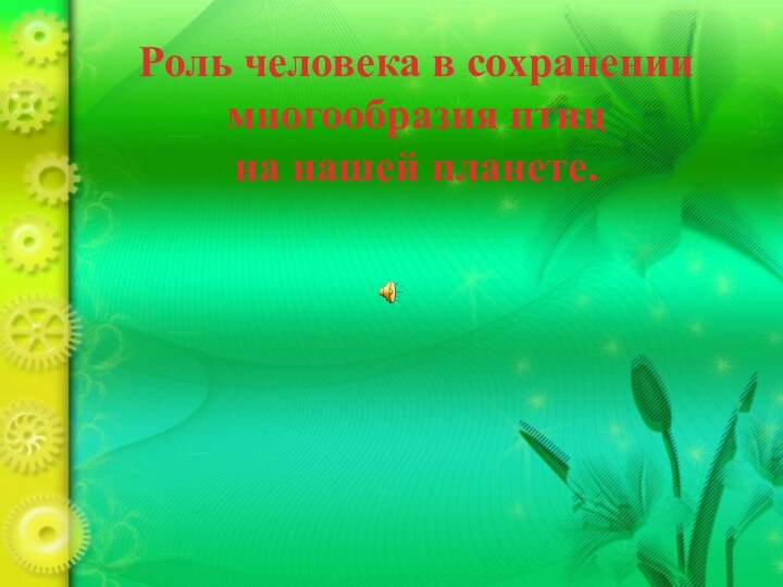 Роль человека в сохранении многообразия птиц на нашей планете.