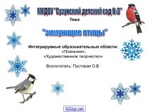 Проект Зимующие птицы