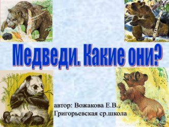 Медведи. Какие они?