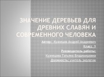 Значение деревьев для древних славян и современного человека