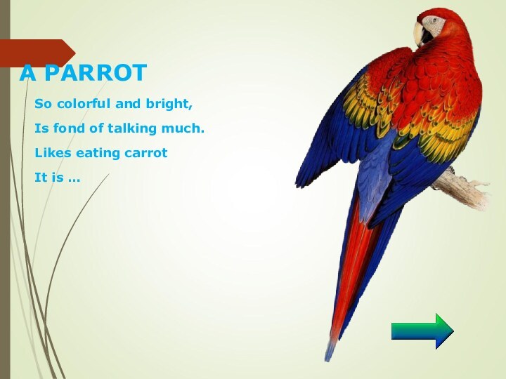 A PARROT  So colorful and bright, Is fond of talking