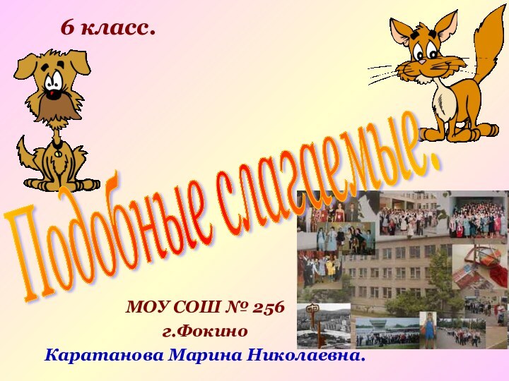 МОУ СОШ № 256г.ФокиноКаратанова Марина Николаевна.6 класс.Подобные слагаемые.