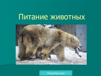 Питание животных