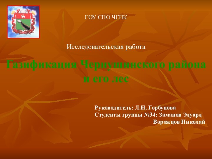 ГОУ СПО ЧГПКИсследовательская работаГазификация Чернушинского района   и его лесРуководитель: Л.Н.