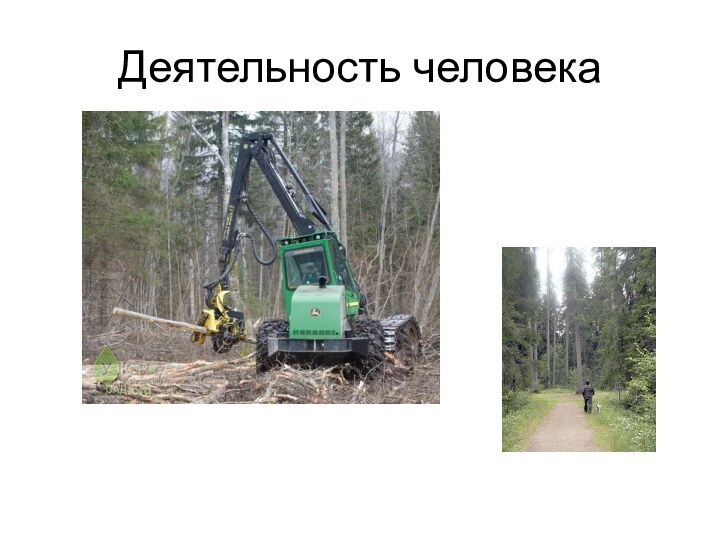 Деятельность человека