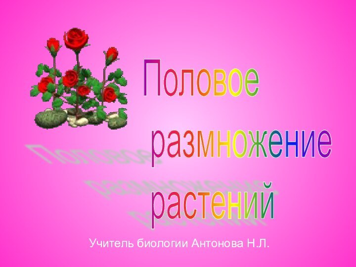 Половое   размножение   растений Учитель биологии Антонова Н.Л.