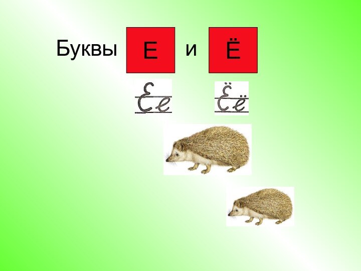 Буквы      и     ЕЁ