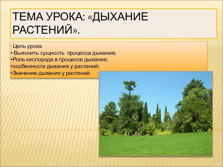 ТЕМА УРОКА: «ДЫХАНИЕ РАСТЕНИЙ».Цель урока: Выяснить сущность процесса дыхания;Роль кислорода в процессе