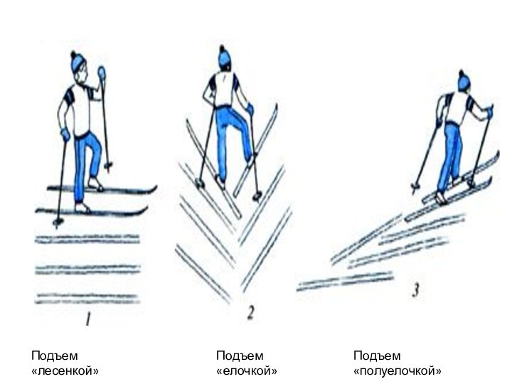 Подъем «лесенкой»Подъем «елочкой»Подъем «полуелочкой»