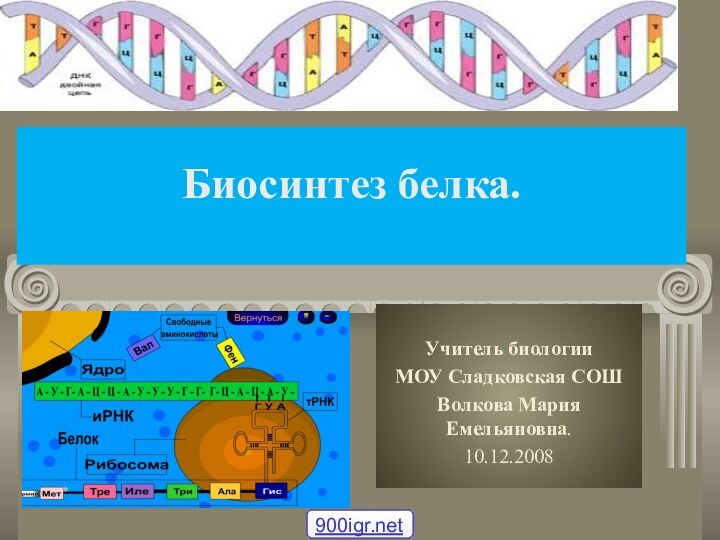 Биосинтез белка.  Учитель биологииМОУ Сладковская СОШВолкова Мария Емельяновна.10.12.2008*