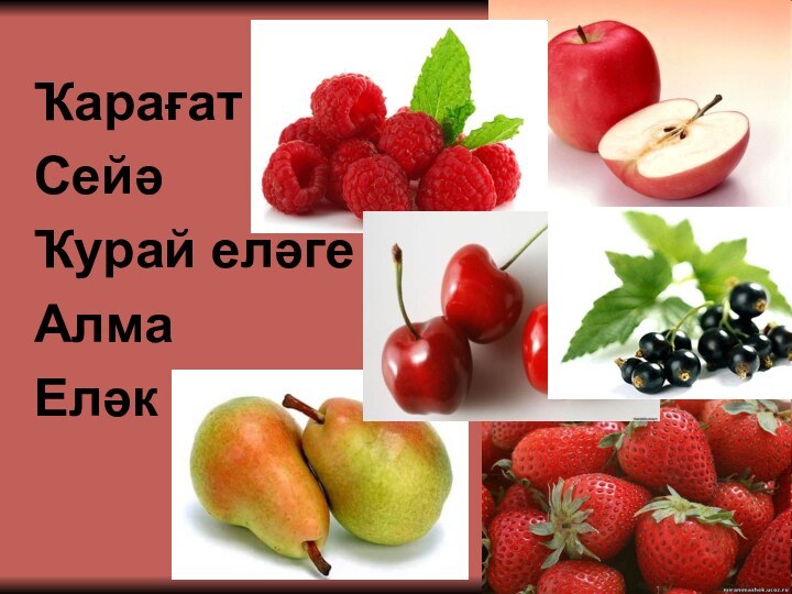 ҠарағатСейәҠурай еләгеАлмаЕләк