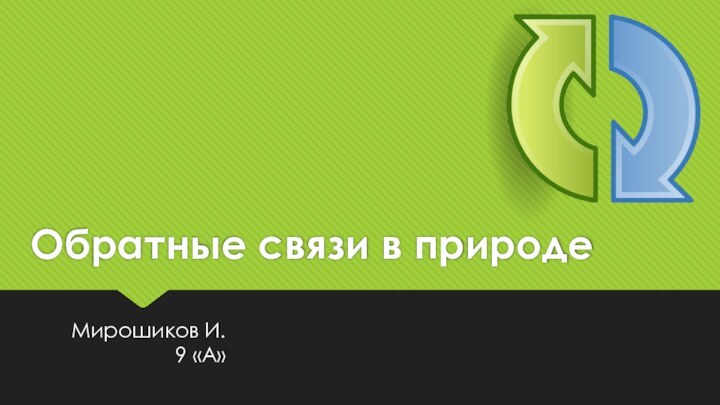 Обратные связи в природеМирошиков И. 9 «А»