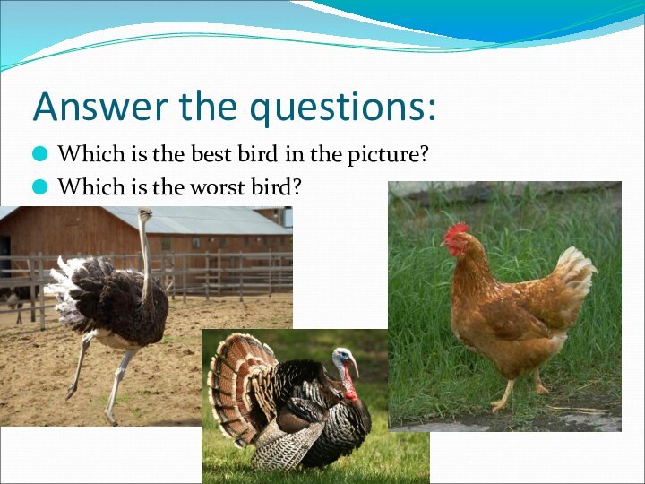 Answer the questions:Which is the best bird in the picture?Which is the worst bird?