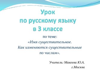 Имя существительное. Как изменяются существительные по числам