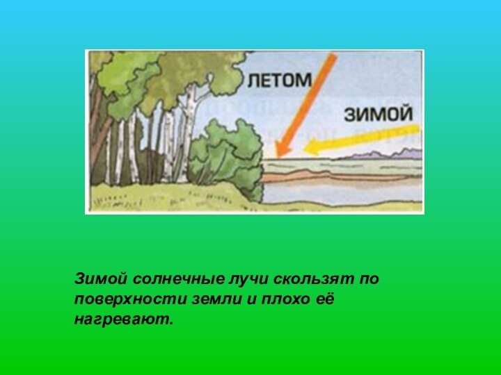 Зимой солнечные лучи скользят по поверхности земли и плохо её нагревают.