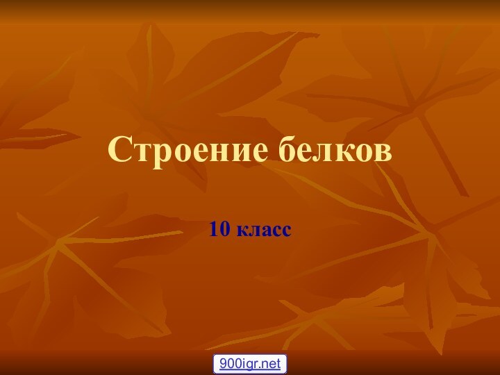 Строение белков10 класс