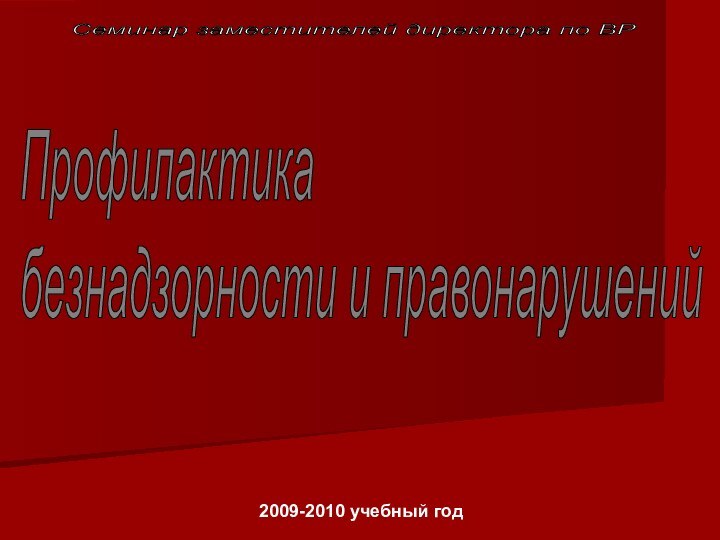 Профилактика  безнадзорности и правонарушений Семинар заместителей директора по ВР 2009-2010 учебный год