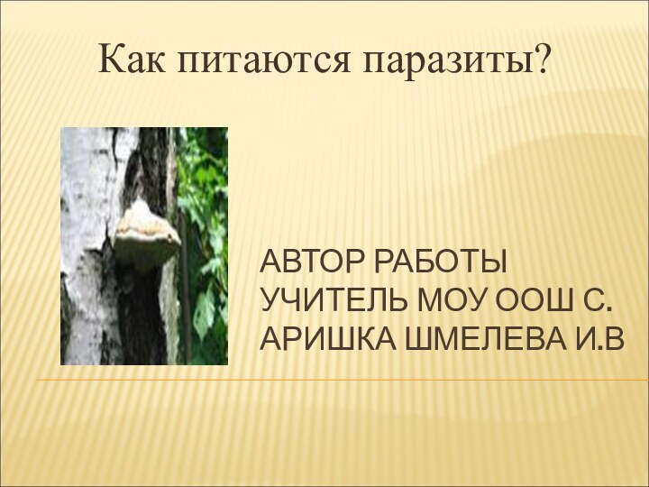 АВТОР РАБОТЫ УЧИТЕЛЬ МОУ ООШ С.АРИШКА ШМЕЛЕВА И.ВКак питаются паразиты?